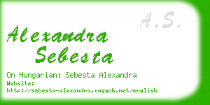 alexandra sebesta business card